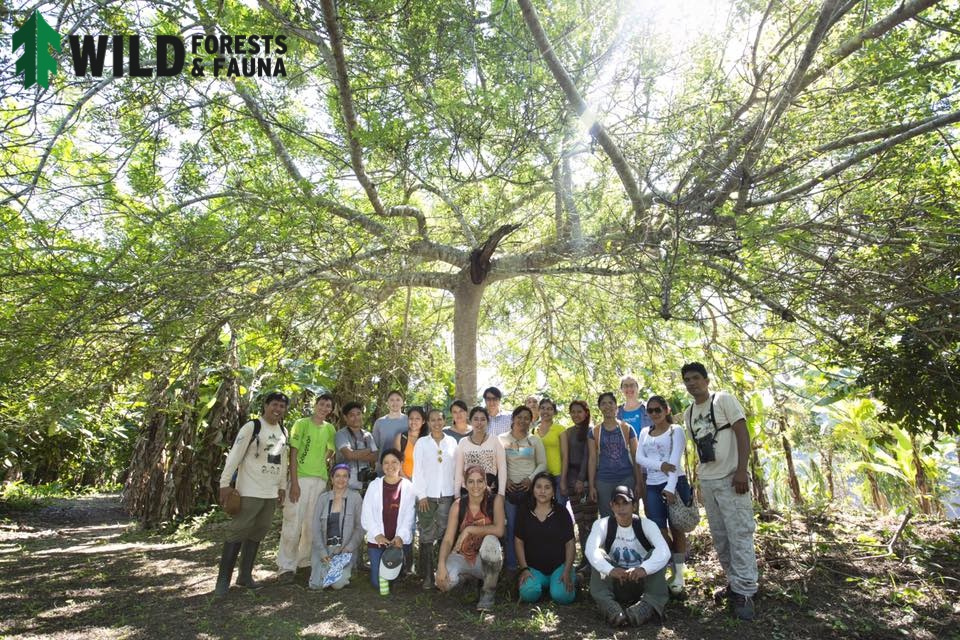 Group at Food Forest under Giant Tree