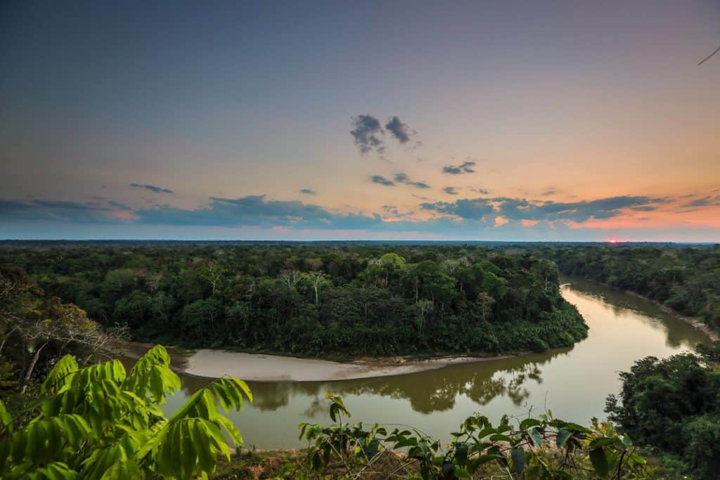 WildFF’s ARCAmazon Project Site in Madre de Dios, Peru