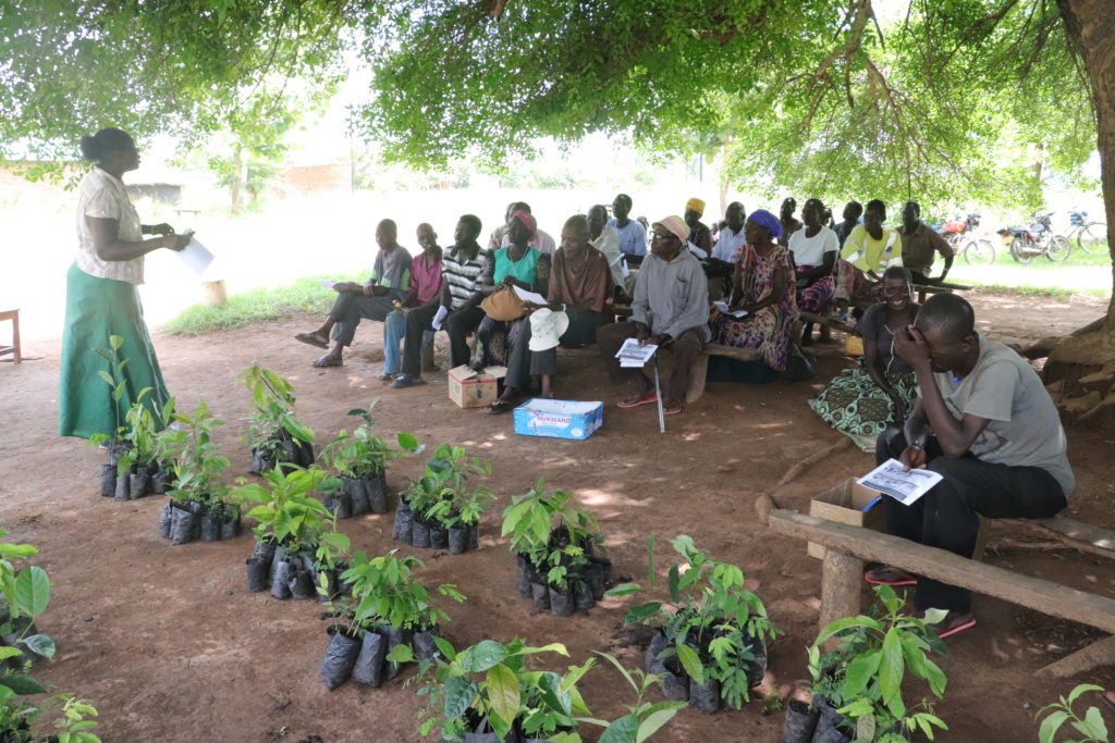 Native Seeds team distributing seedlings and training local communities in their care